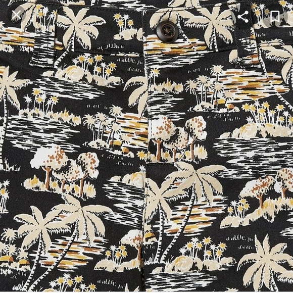 Janie and Jack 3 piece Tropical Twill Short Outfit T-Shirt & Hat Black 3-6 Month - Picture 3 of 11